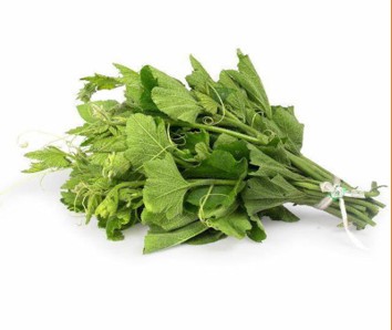 Rau ngọn bí